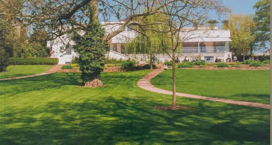 VILLA TUGENDHAT: zahrada / the garden